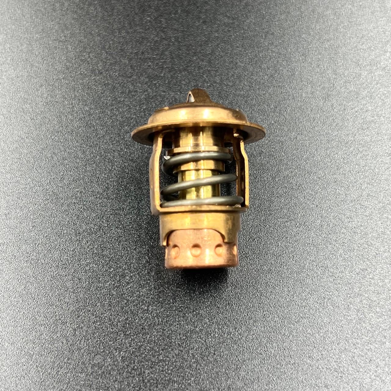 картинка Термостат Mercury 6-125 (Quicksilver)