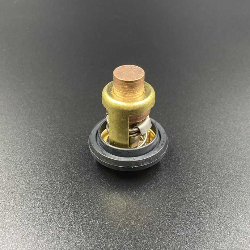 картинка Термостат Parsun (Mercury 825212001) (PREMARINE)