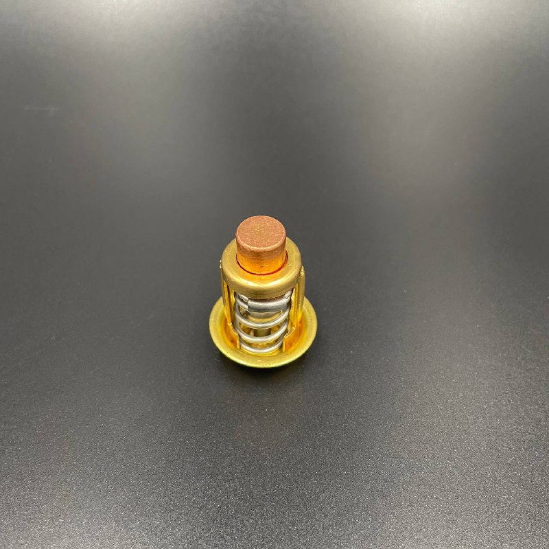 картинка Термостат Mercury 30-40 (PREMARINE)