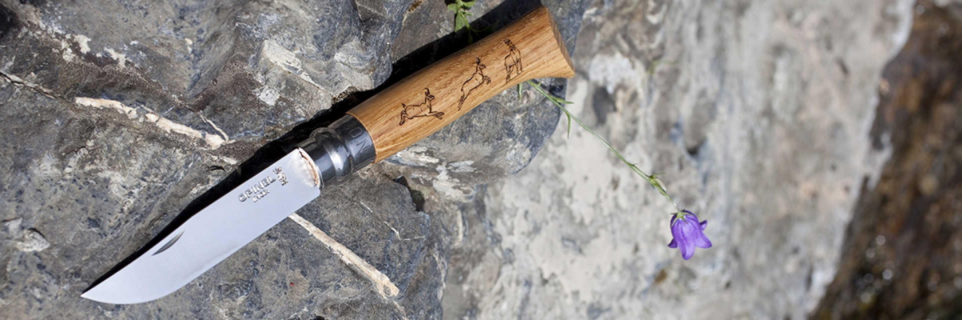 картинка Нож Opinel №8 Animalia, нержавеющая сталь, рукоять дуб, гравировка серна, 001621