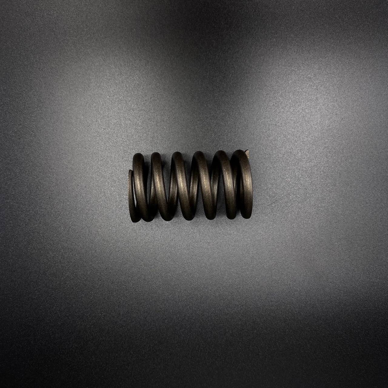 картинка Пружина SPRING (Quicksilver)