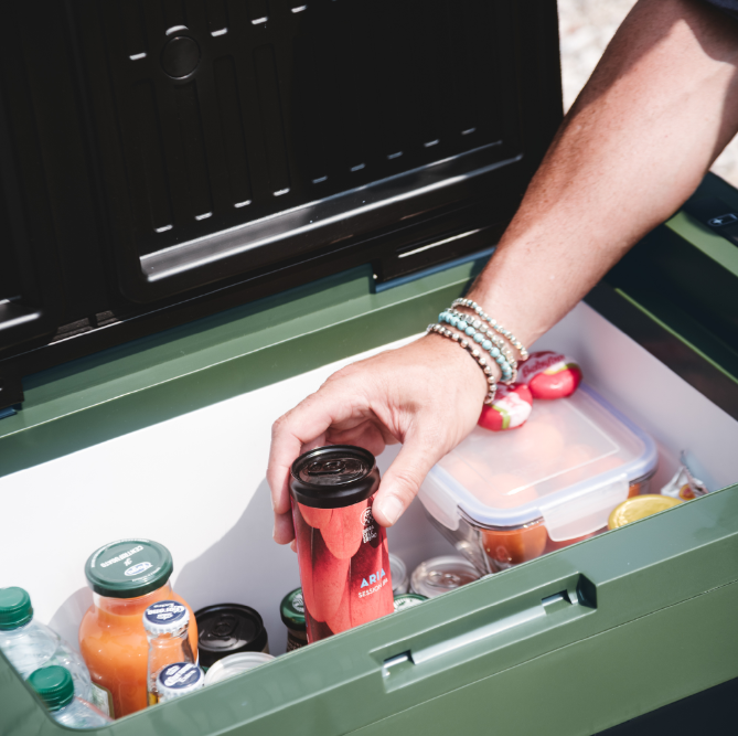 картинка Автохолодильник компрессорный Indel B Travel Box ITB42 12/24В