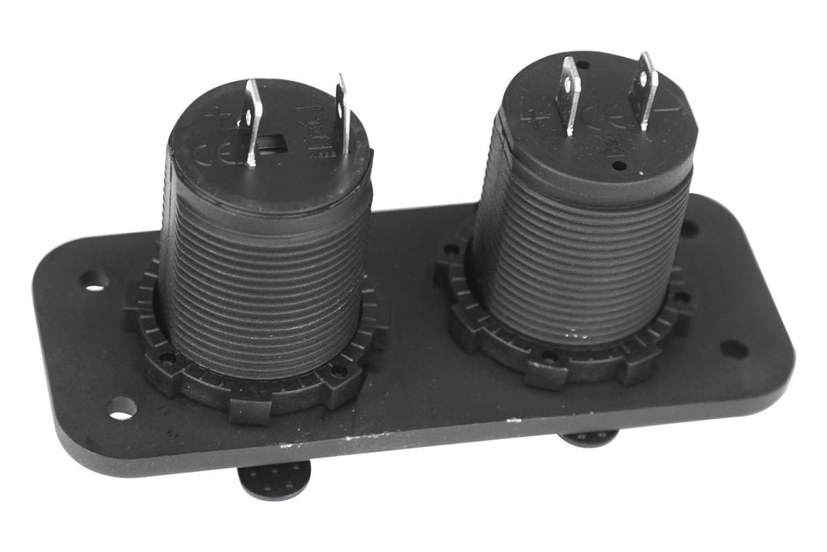 картинка Розетка комбинированная с USB РИФ 3,1А на монтажной панели