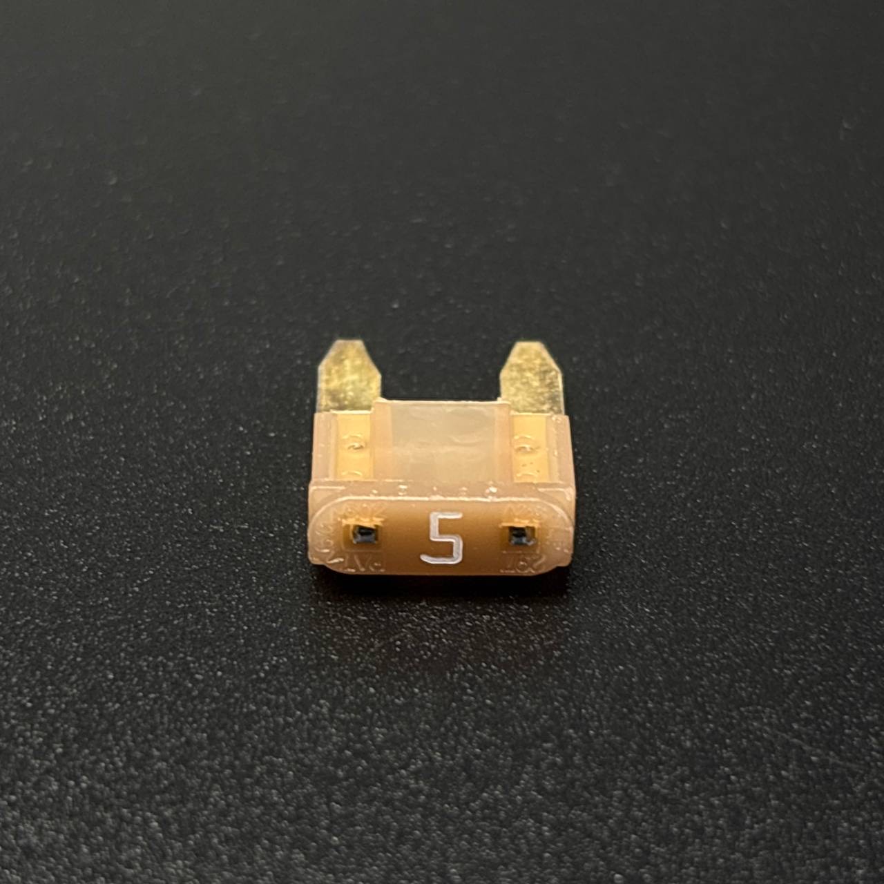 картинка Предохранитель FUSE-TAN-5 AMP (Quicksilver)