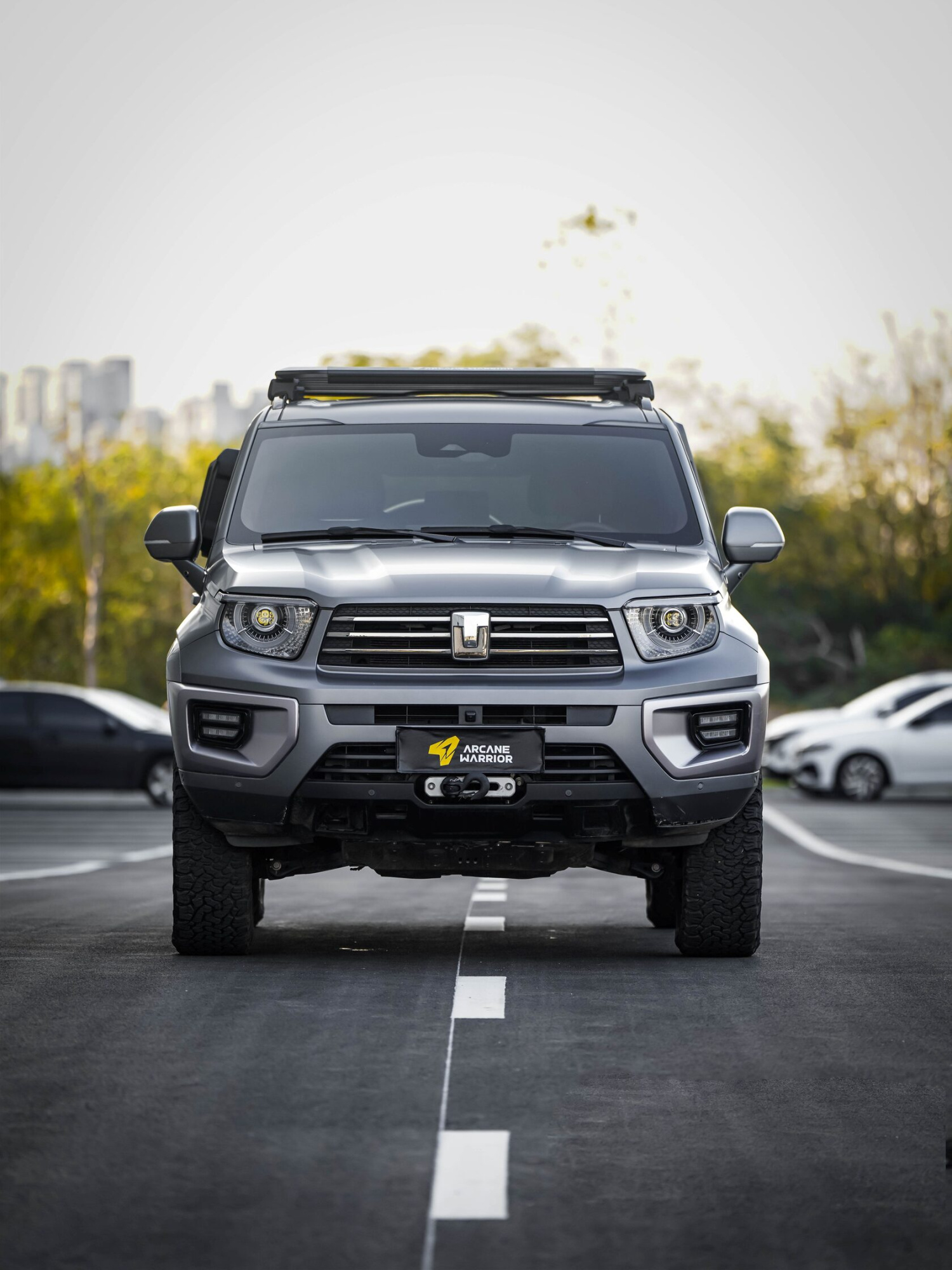 картинка Багажник экспедиционный STORM Roof Rack для Tank 700 (2024)