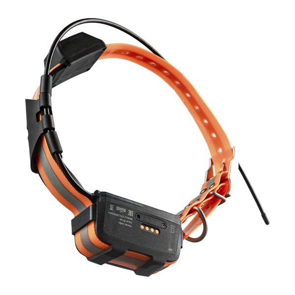 картинка GPS-ошейник Artelv Tracker 2W
