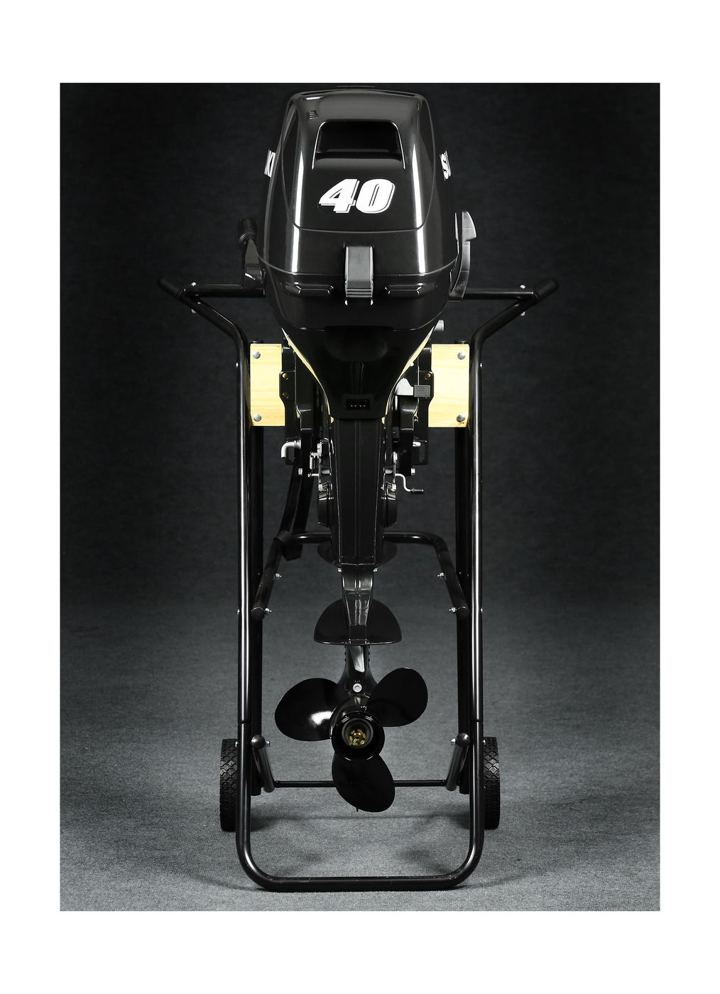 картинка Мотор лодочный Suzuki DT40WS