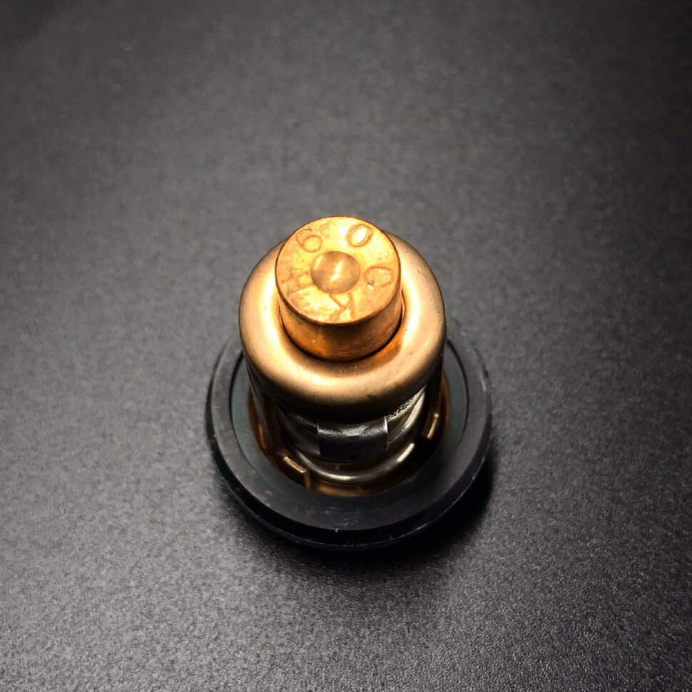 картинка Термостат Yamaha 40Q, 55