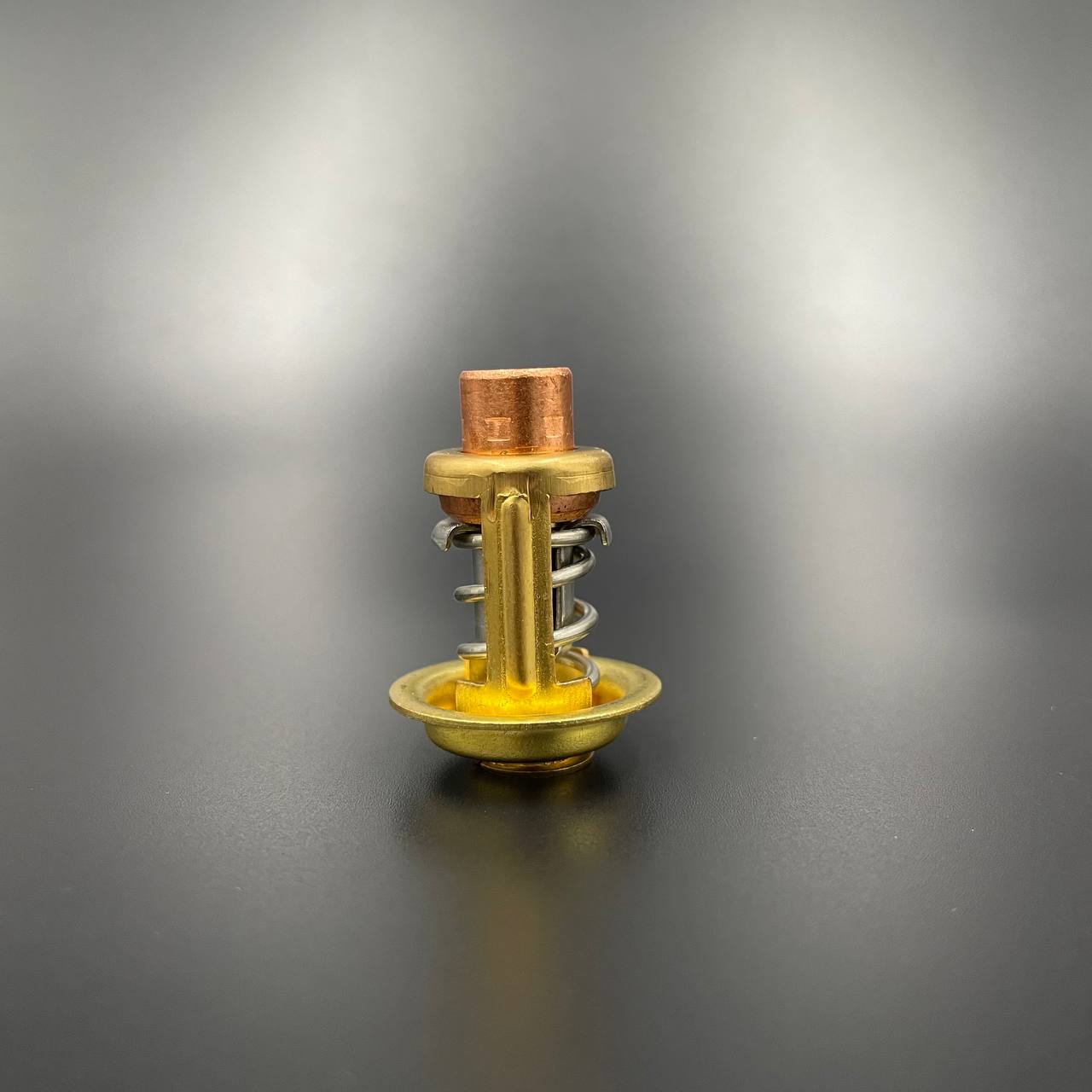 картинка Термостат Mercury 30-40 (PREMARINE)