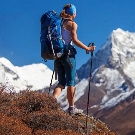 картинка Палки треккинговые, карбон, ST10, красные, для ходьбы (2 шт.)