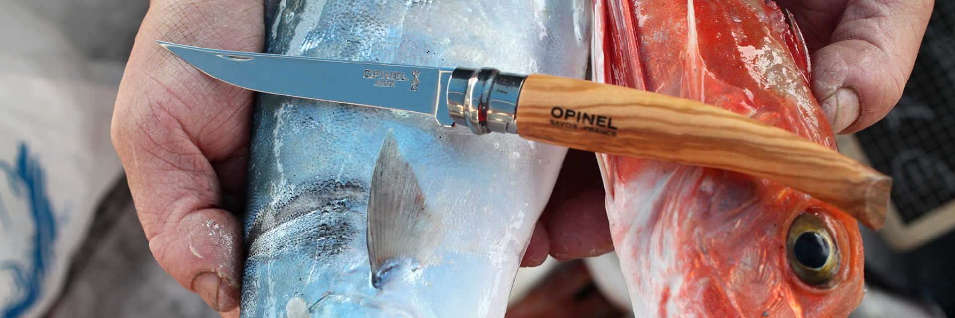 картинка Нож филейный Opinel №12, нержавеющая сталь, рукоять оливковое дерево, 001145