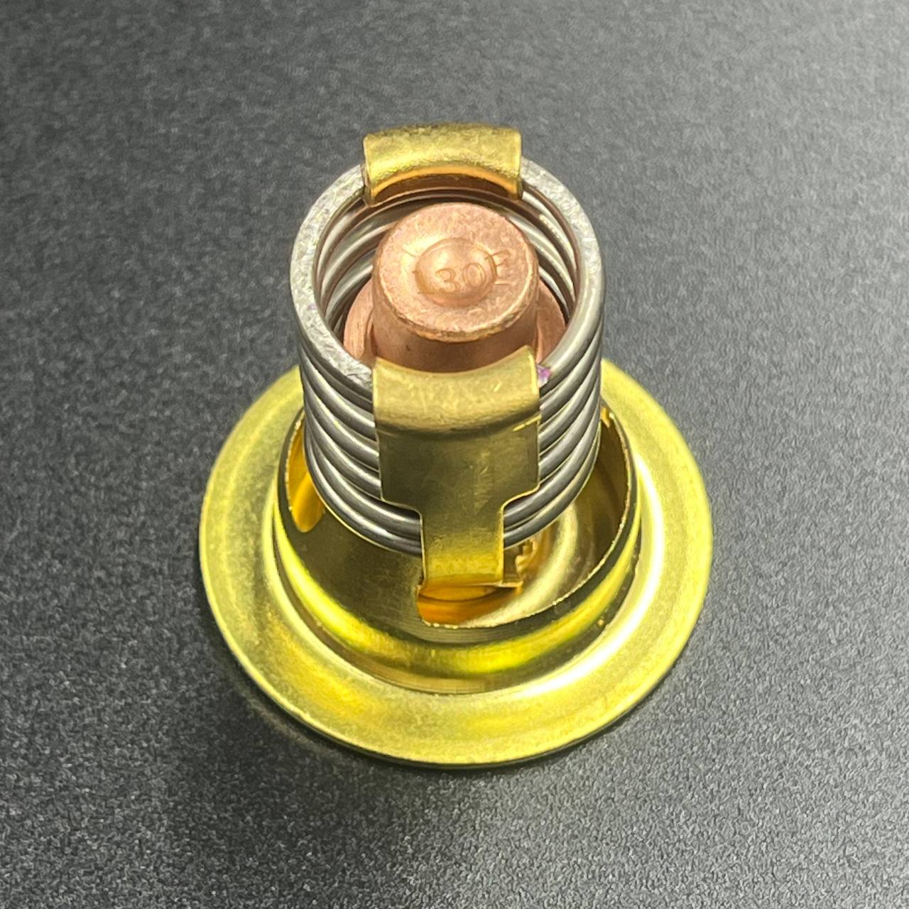 картинка Термостат Mercury(130°F)  (JSP)