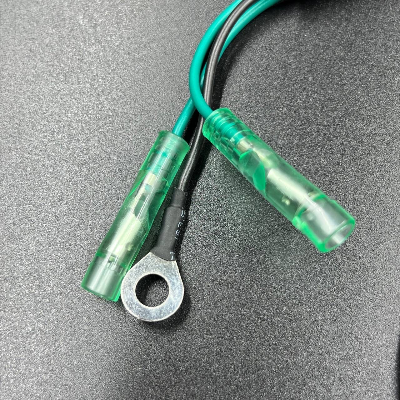 картинка Магнето в сборе с катушкой 12V Yamaha 40X (YUELANG)
