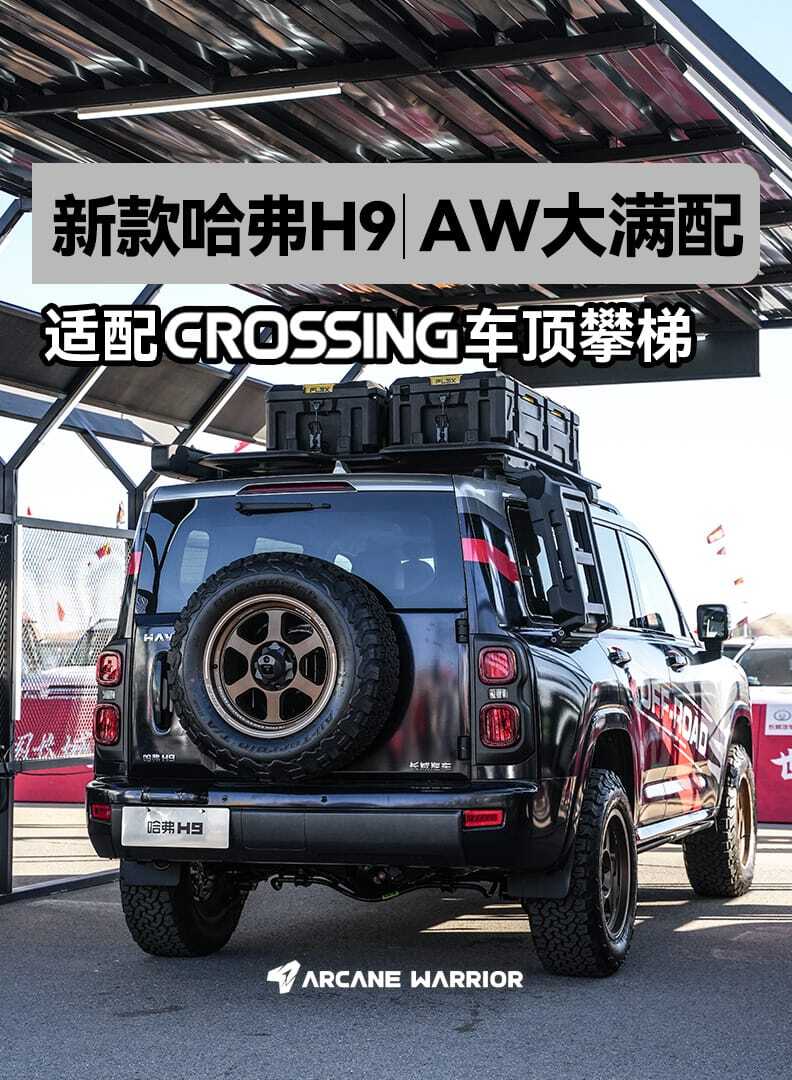 картинка Боковая лестница CROSSING Ladder для Haval H9