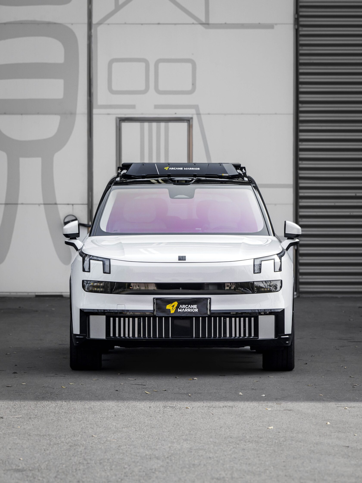 Багажник экспедиционный M'LinkX для Lynk & Co 900 (2025)
