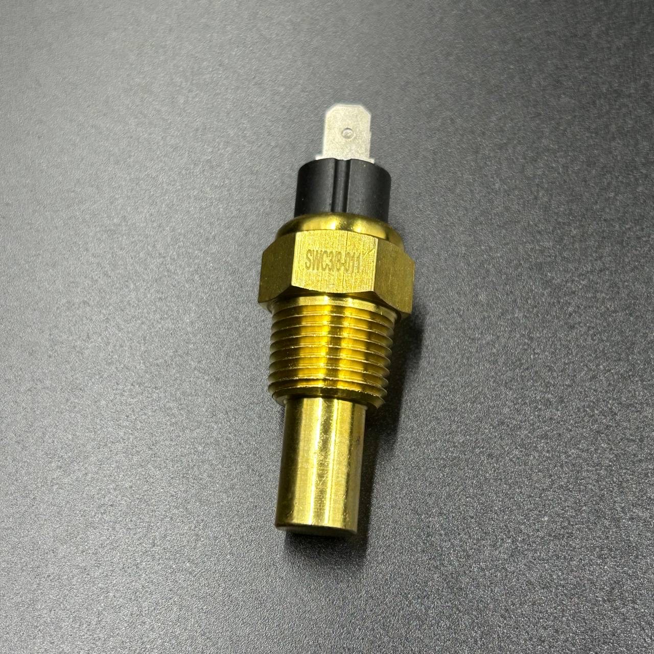 картинка Датчик температуры двигателя DPMTS (DEPO)