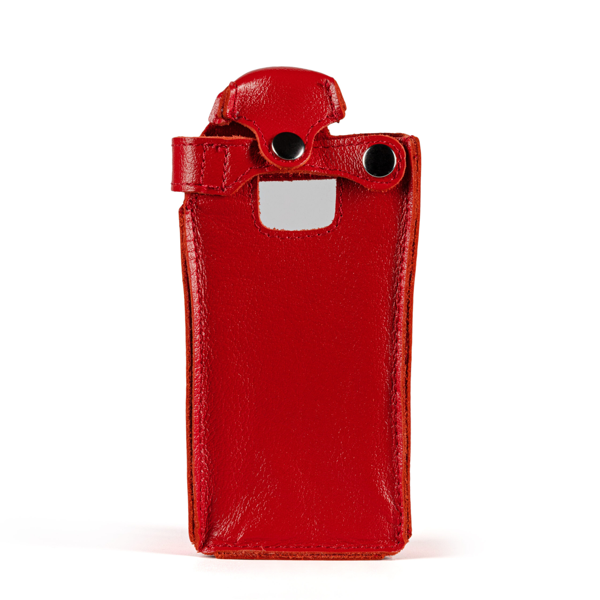 картинка Чехол для Терек РК-4312 Ex