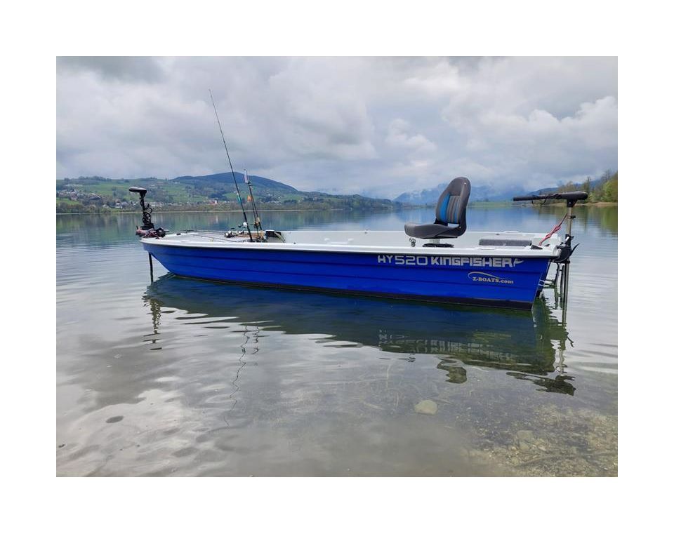 картинка Троллинговый электромотор Haswing Cayman B 55 lbs/137 см/12v/GPS (электроякорь), белый