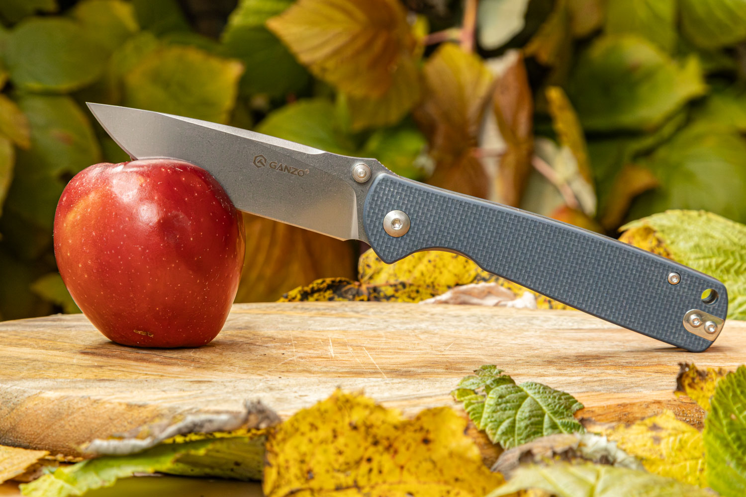 картинка Нож  складной Ganzo G6805-GY сталь 8CR14, Gray