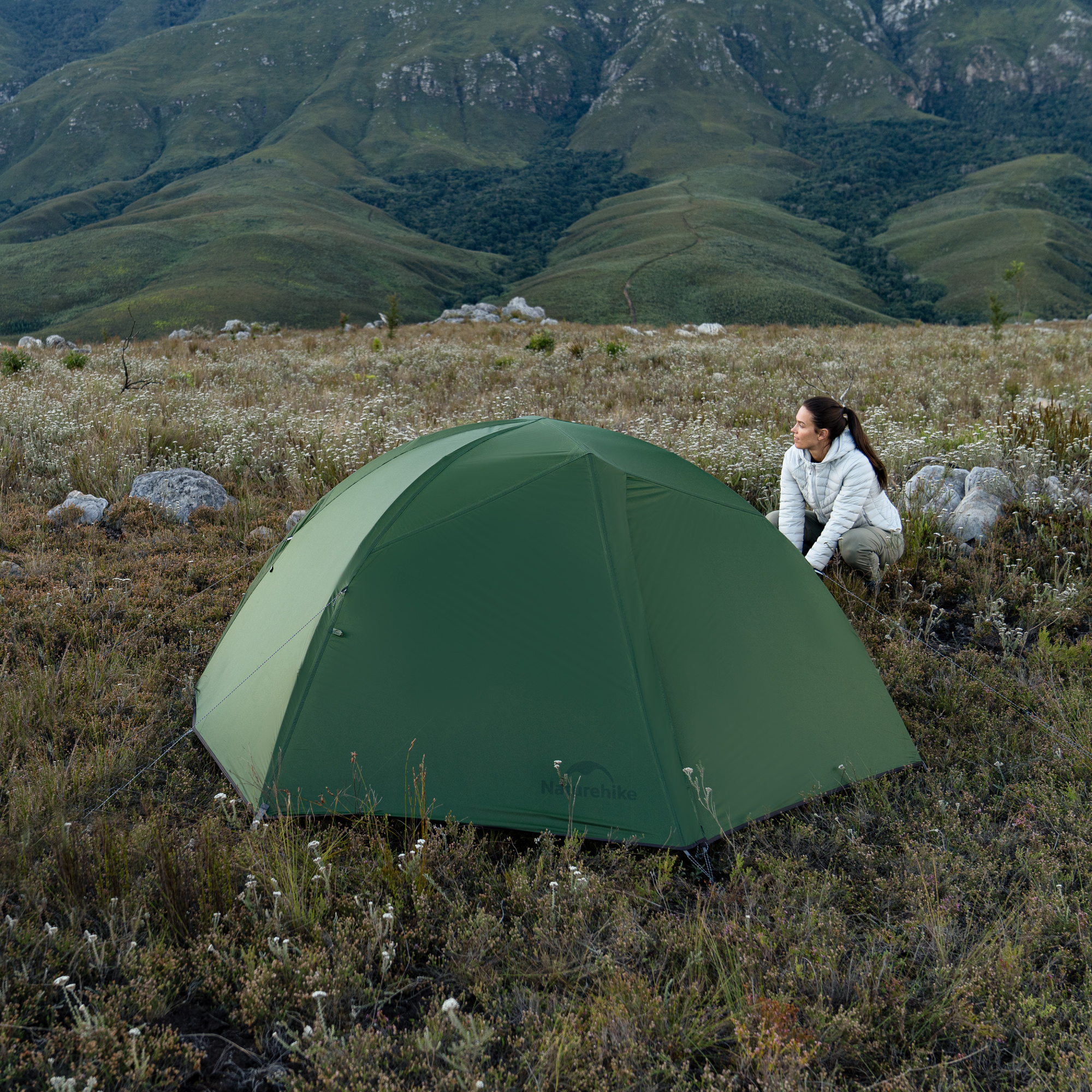 картинка Палатка Naturehike Cloud-Creek PRO, 2-местная, зеленая