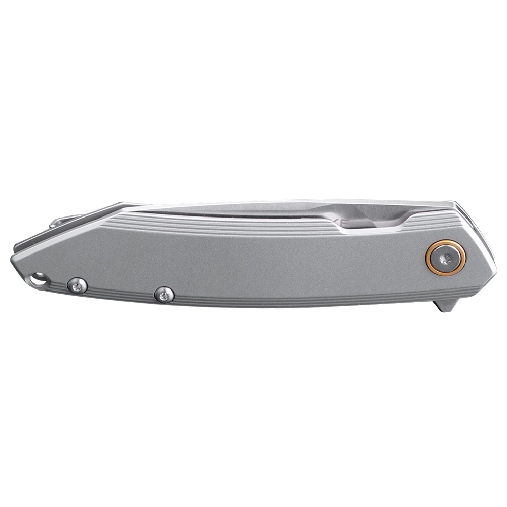 картинка Нож Ruike P831S-SA