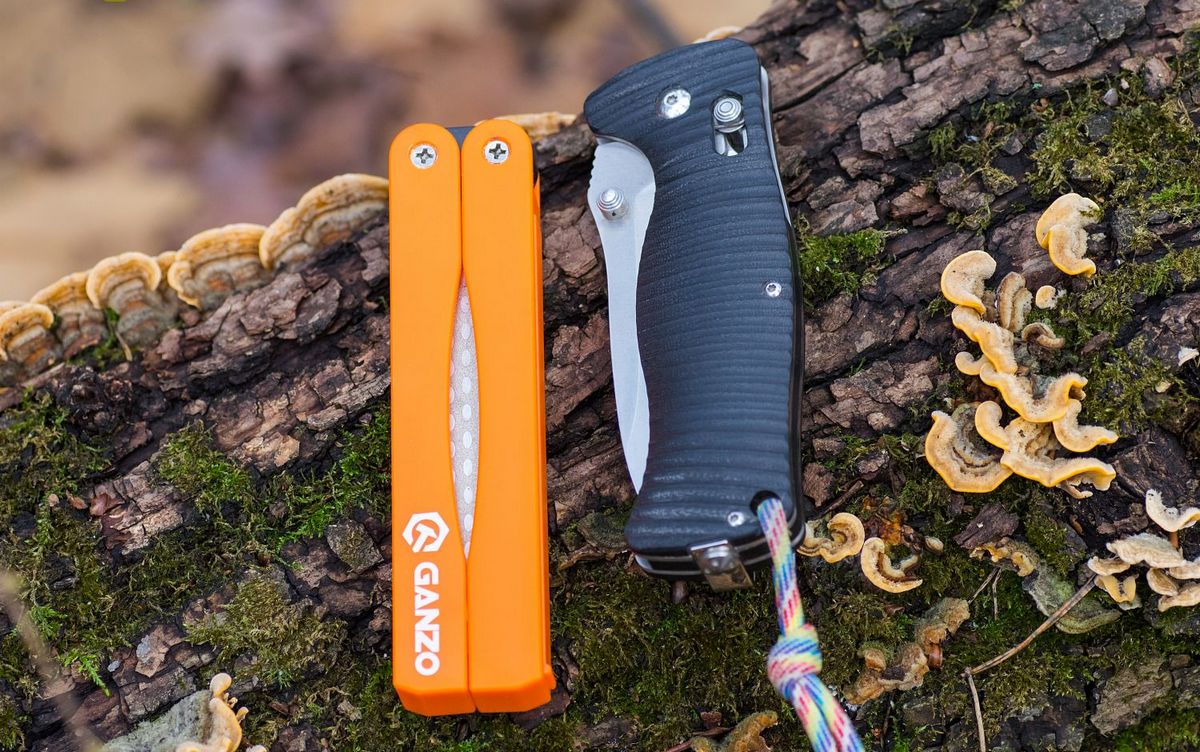картинка Точильный станок Ganzo G506