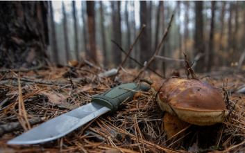 картинка Нож Morakniv Kansbol, нержавеющая сталь, крепление Multi-Mount, 12645S
