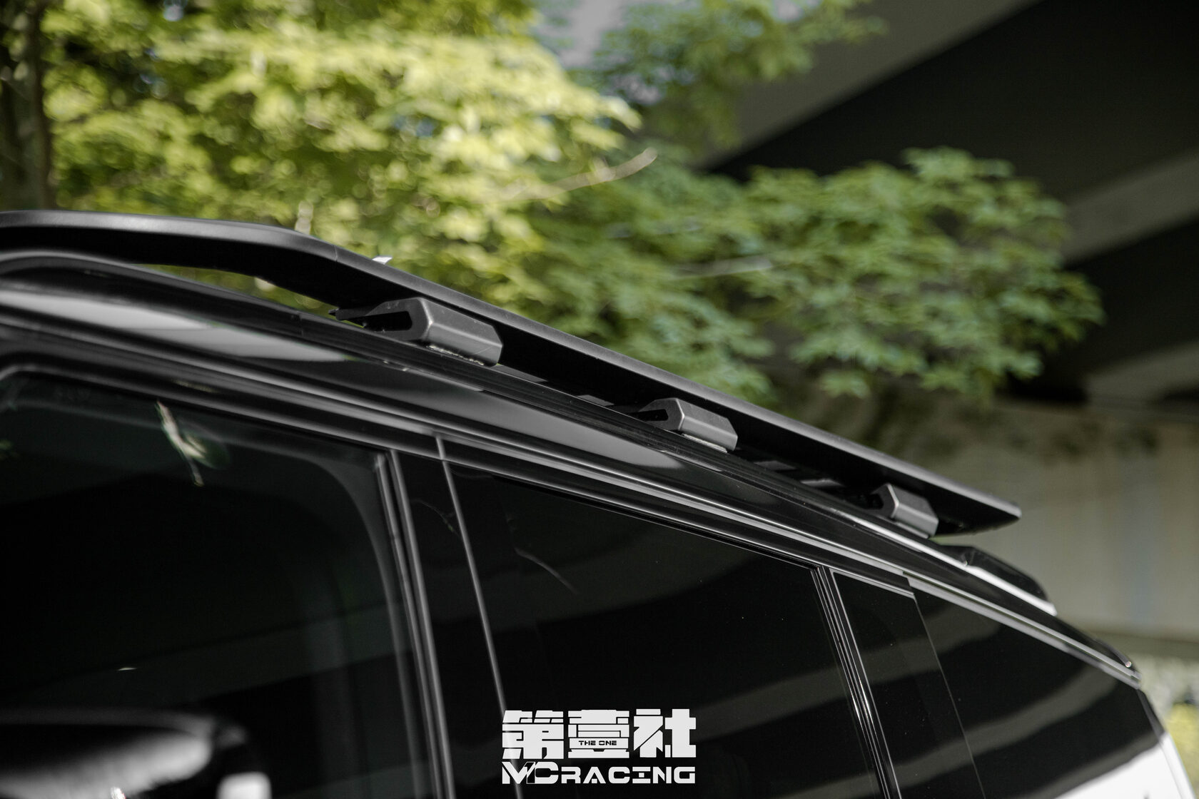 картинка Багажник экспедиционный STORM Roof Rack для ROX 01 (2023)