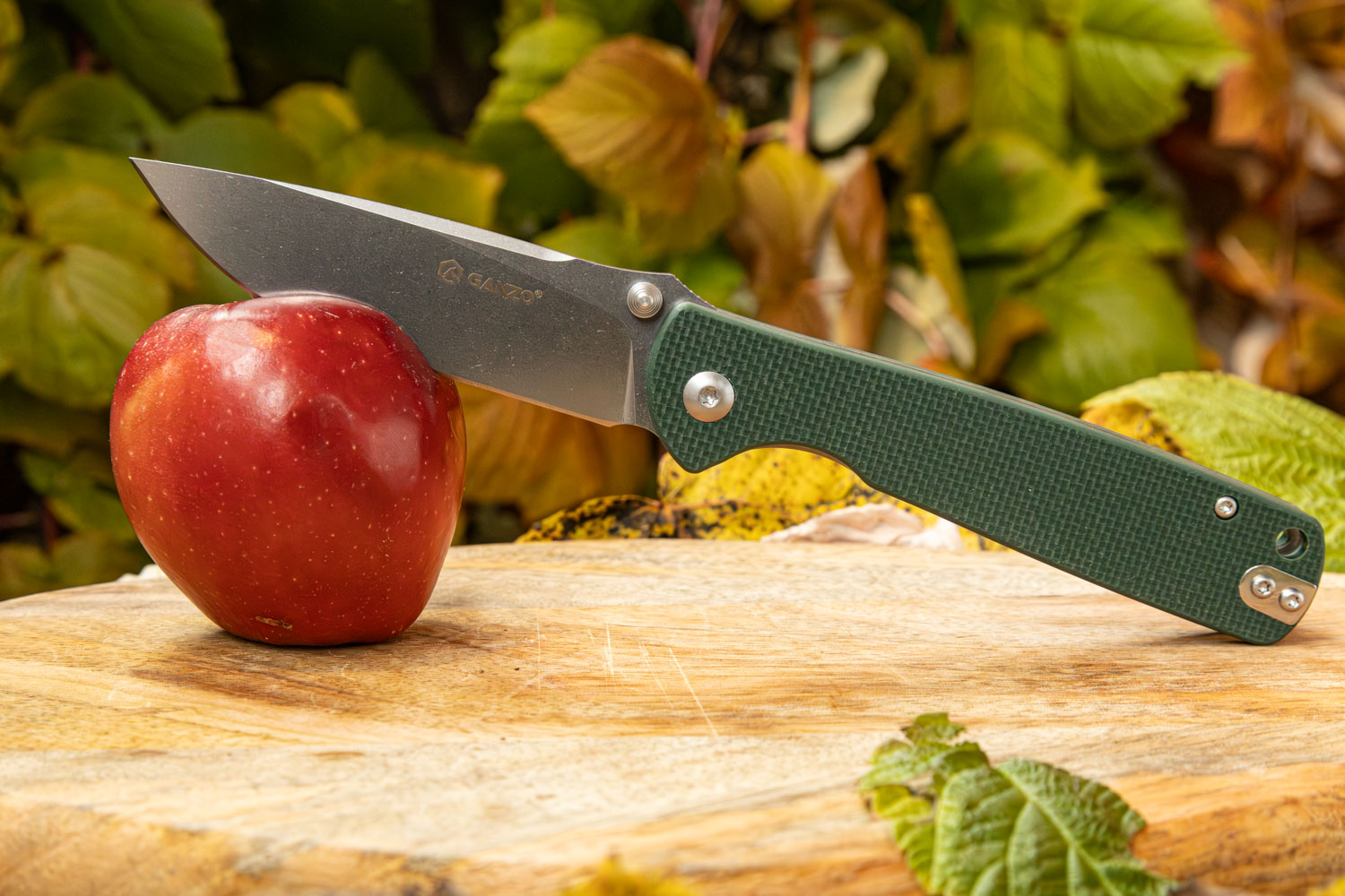 картинка Нож  складной Ganzo G6805-GB сталь 8CR14, Green
