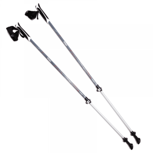 картинка Палки BTrace NW Fast