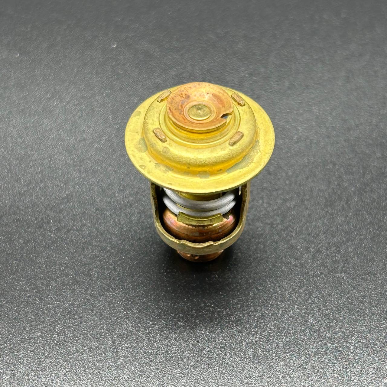 картинка Термостат Mercury 30-40 (Quicksilver)