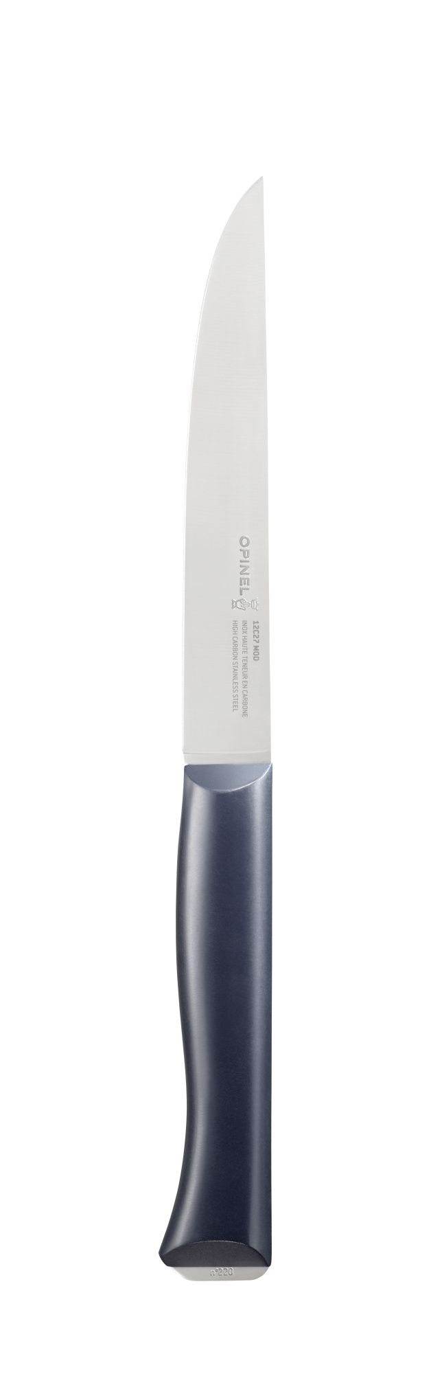 картинка Нож столовый Opinel №220, пластиковая рукоять, нержавеющая сталь, 002220