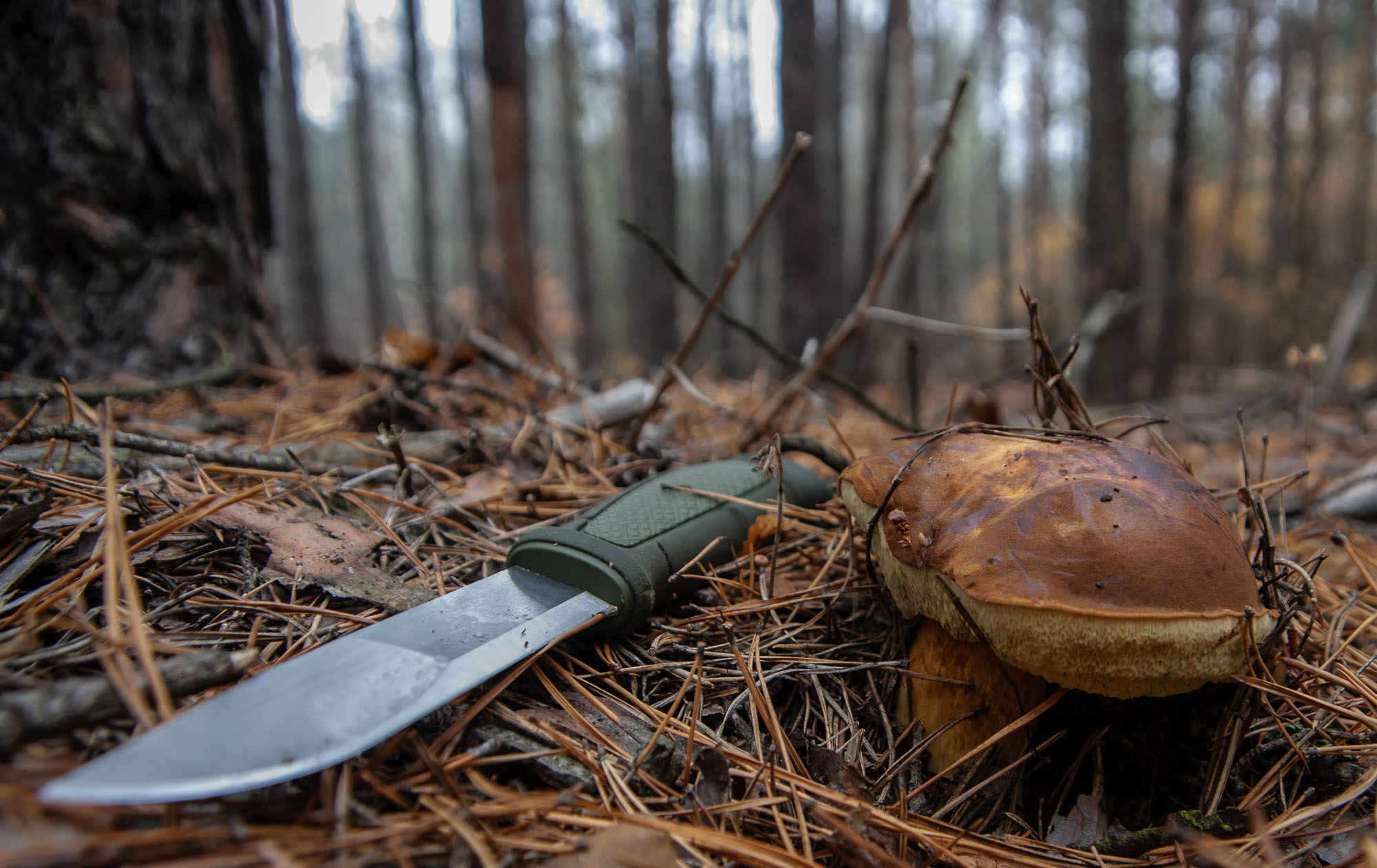 картинка Нож Morakniv Kansbol, нержавеющая сталь, крепление Multi-Mount