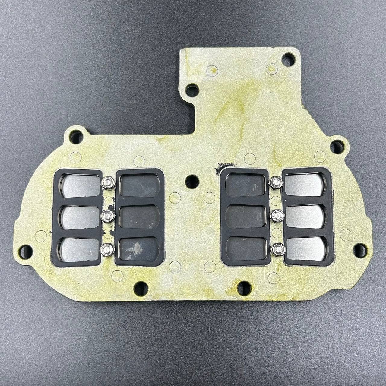 картинка Лепестковые клапана Yamaha 25-30 (В сборе) (YUELANG)