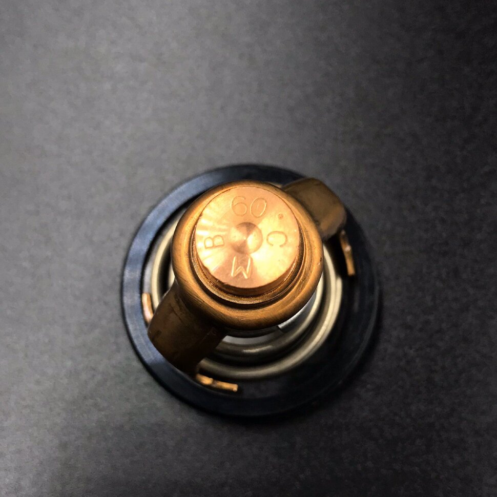 картинка Термостат Yamaha F300-350 (YAMAHA)