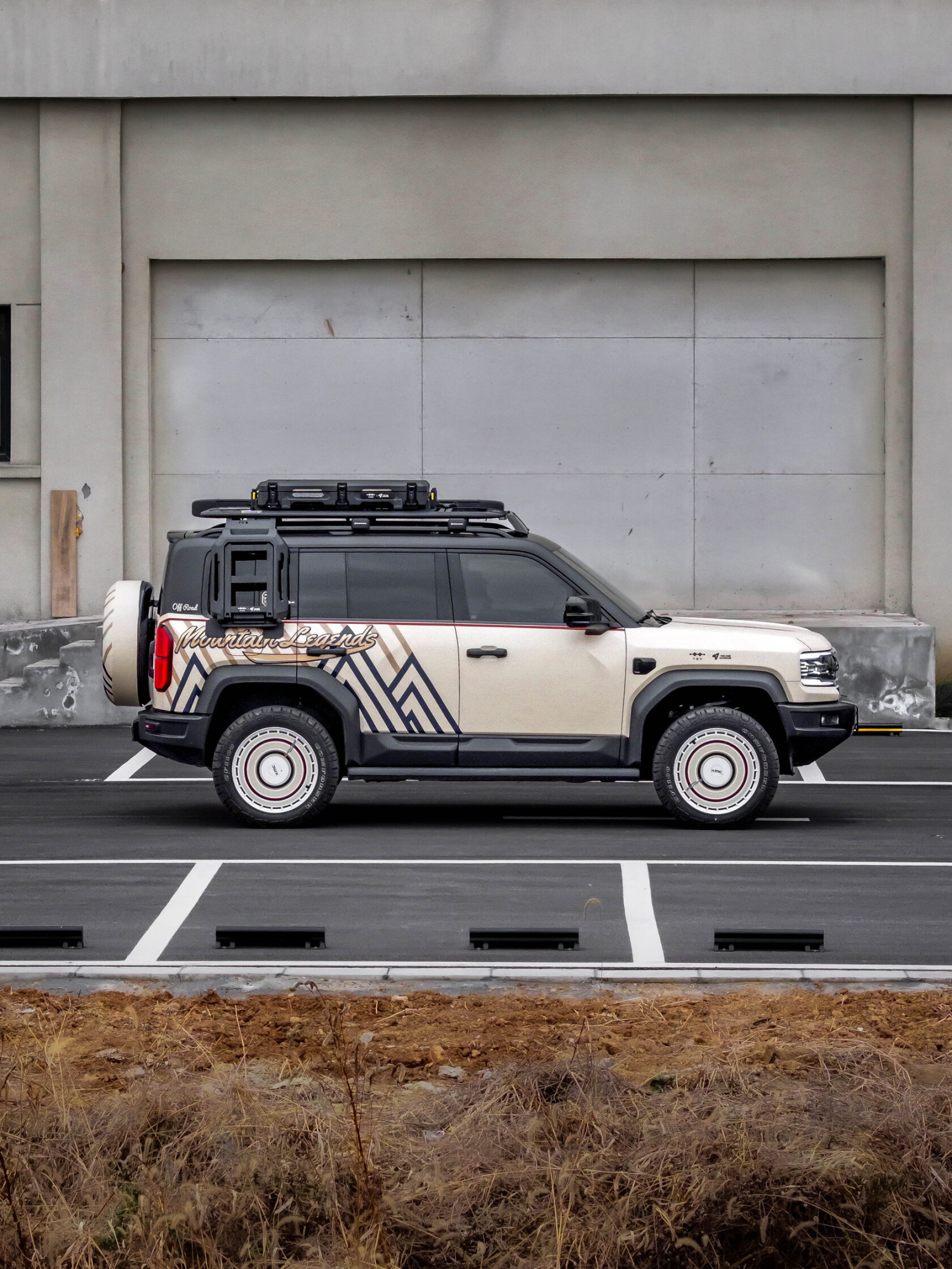 Багажник экспедиционный STORM BYD FangChengBao Leopard 5 (длинный) (2023+)