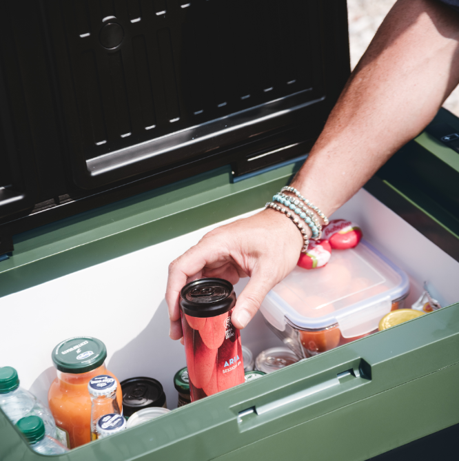 картинка Автохолодильник компрессорный Indel B Travel Box ITB32 12/24В