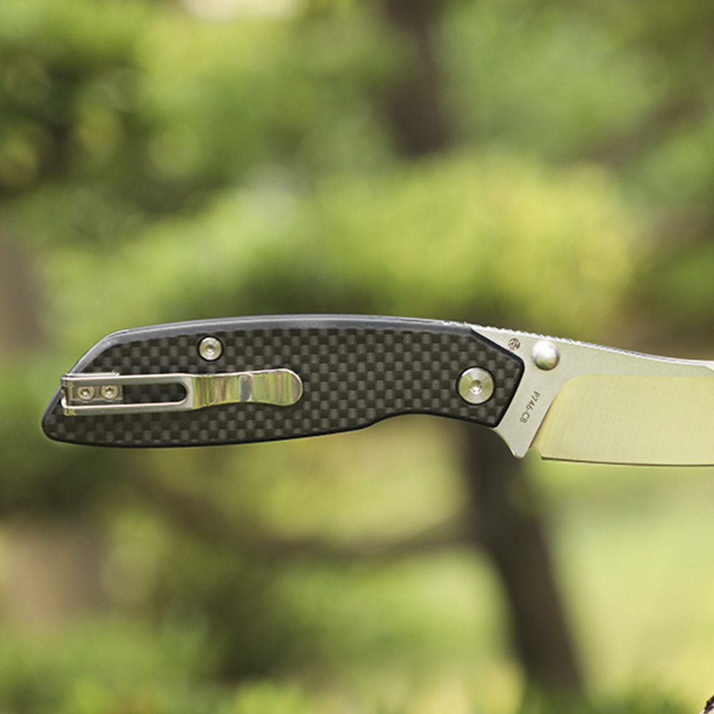 Нож складной Ruike P746-CB черный