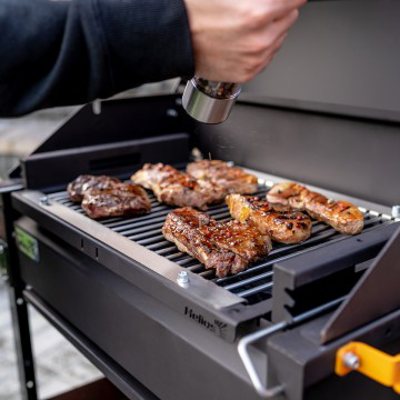картинка Мангал HELIOS SMART-600 Люкс