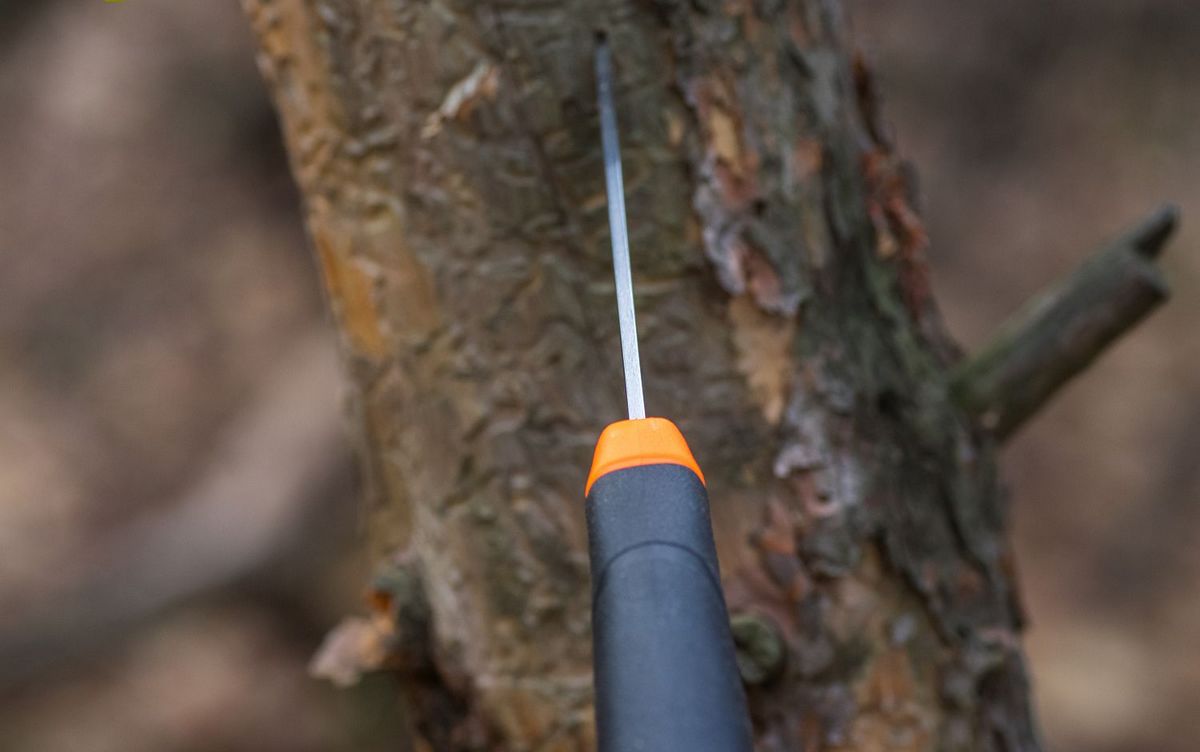 картинка Нож Morakniv Companion F Serrated, нержавеющая сталь, 11829