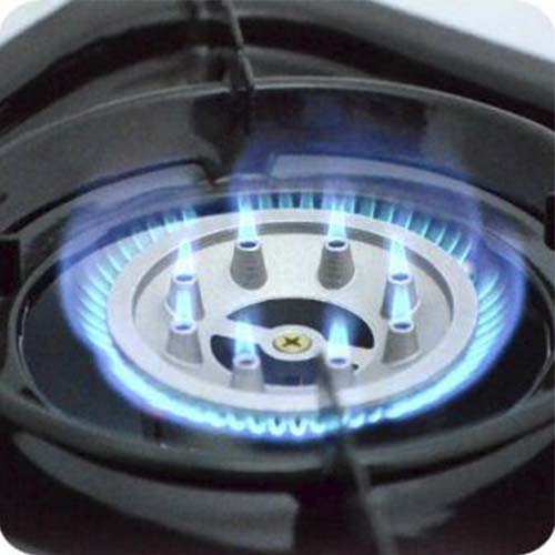 картинка Плита наст. газовая "СЛЕДОПЫТ - MaximuM", двойная (с переходником)