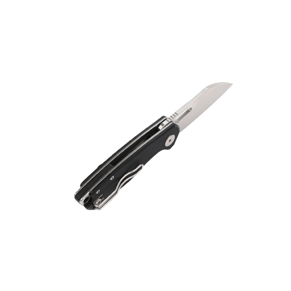 картинка Складной нож Firebird by Ganzo FH924-BK  D2 Steel Black