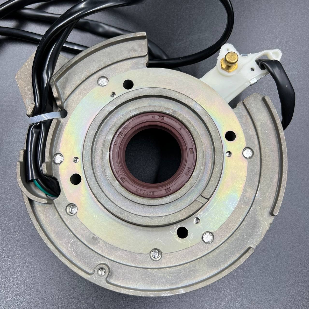 картинка Магнето в сборе с катушкой 12V Yamaha 40X (YUELANG)