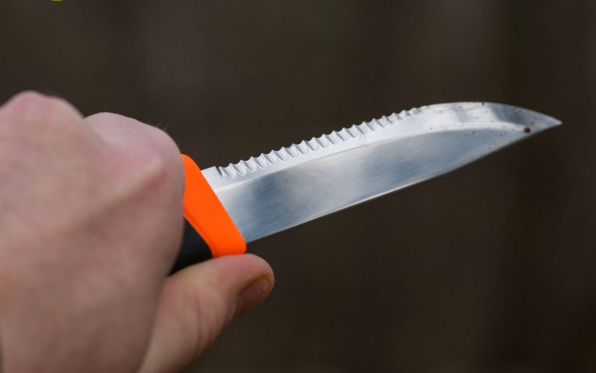 картинка Нож Morakniv Companion F Serrated, нержавеющая сталь, 11829