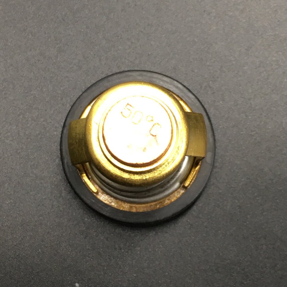 картинка Термостат Yamaha F115 (Omax)