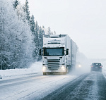 Шипы для грузовых шин