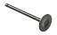 Клапан выпускной Marine Rocket (F25-01.05.00.12)