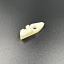 Храповик ручного стартера Yamaha 40-50 (KACAWA)