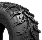 Шины Багира