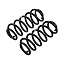Пружины задние Jeep Wrangler JL OME +300